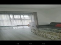 其它图