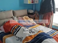 其它图