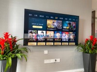 其它图