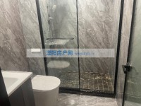其它图