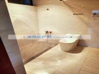 其它图