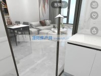 其它图