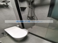 其它图