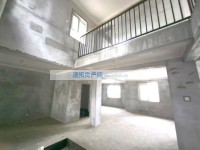 其它图