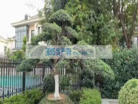 其它图