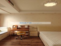 其它图