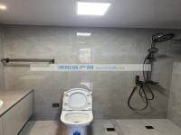 其它图