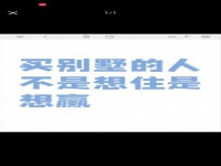其它图