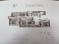 其它图