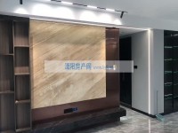 其它图