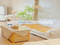 其它图