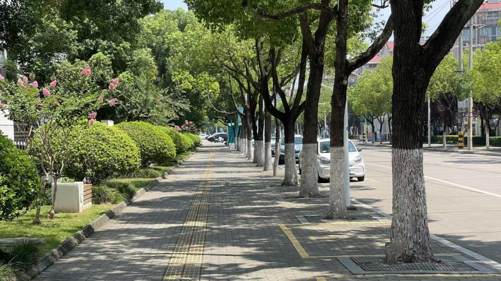 微信图片_20250706205507.jpg