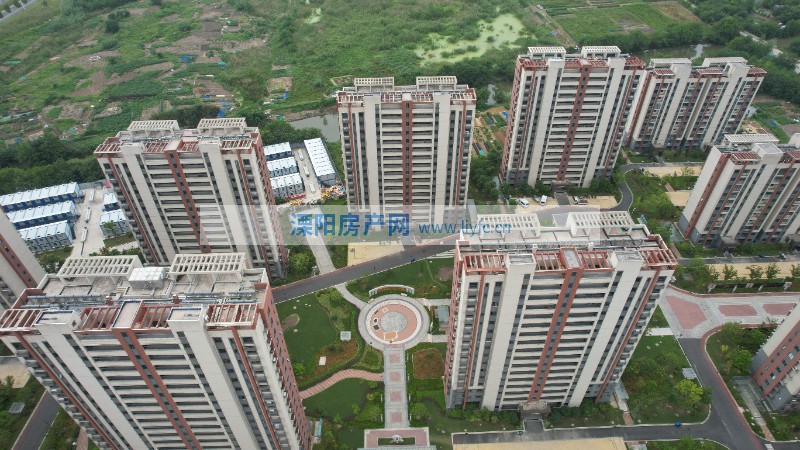 实景图