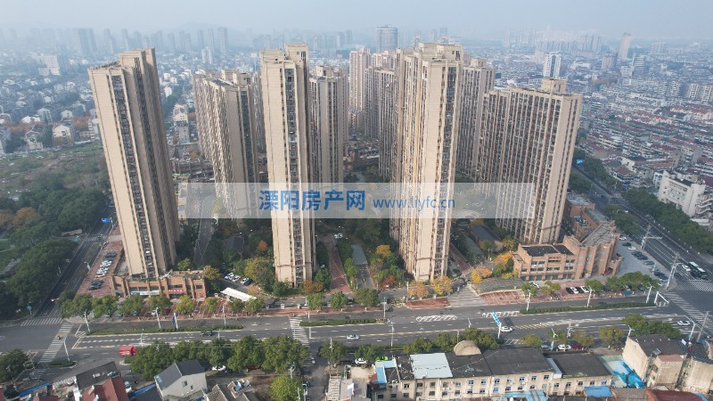 实景图
